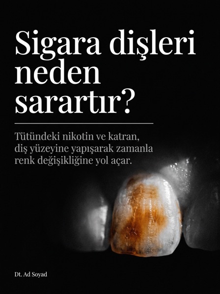 SocialDenta örnek gönderisi